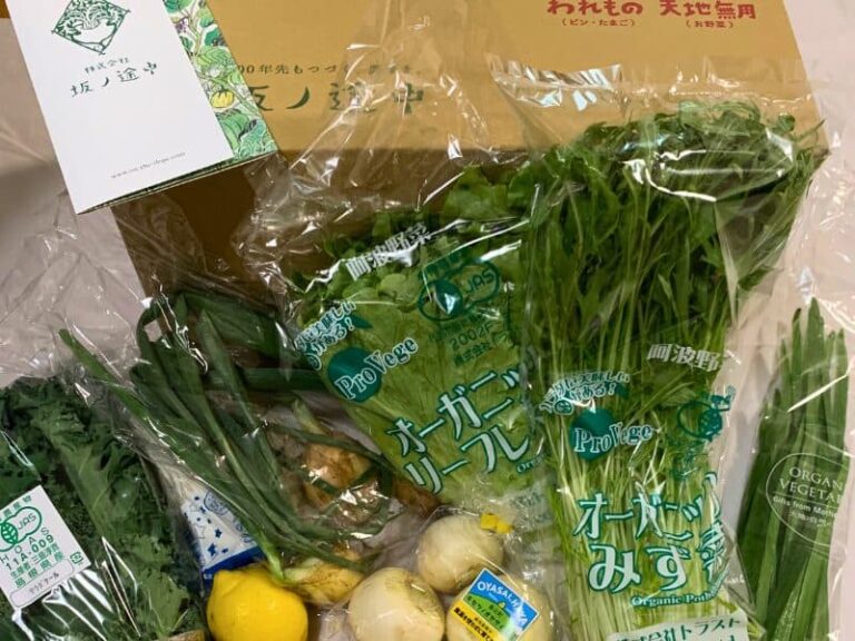 坂ノ途中から届いた野菜と段ボール箱