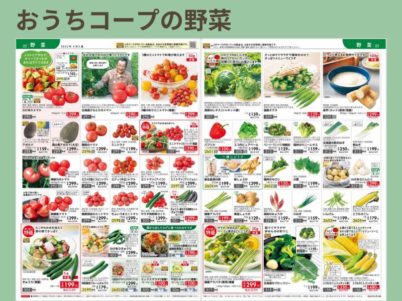 おうちコープの野菜のカタログ