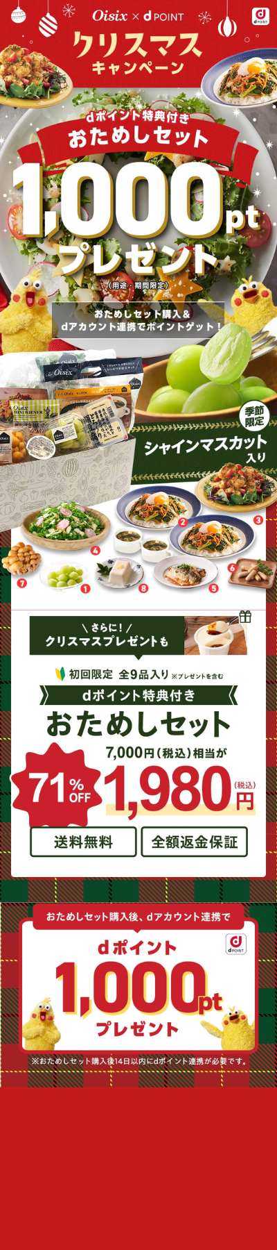 オイシックスのクリスマスキャンペーンｄポイント特典つきお試しセット1980円（2024年11月28日～12月5日）