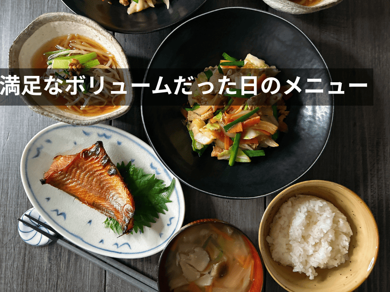 ヨシケイのミールキットで満足なボリュームだったメニューの写真