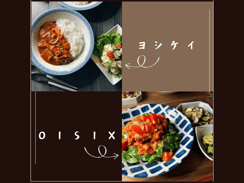 ヨシケイとオイシックスで比較（ハヤシライスとケバブボウルの写真）
