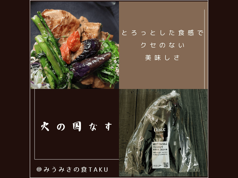 オイシックスのお試しセットによく登場する新鮮野菜「火の国なす」